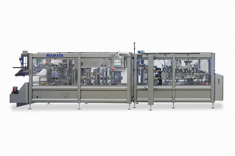 Horizonal Form Fill Seal (Hffs) Pouch Machines